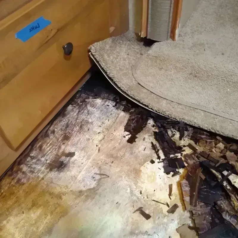 Best Wood Floor Water Damage Service in Atchison County, KS